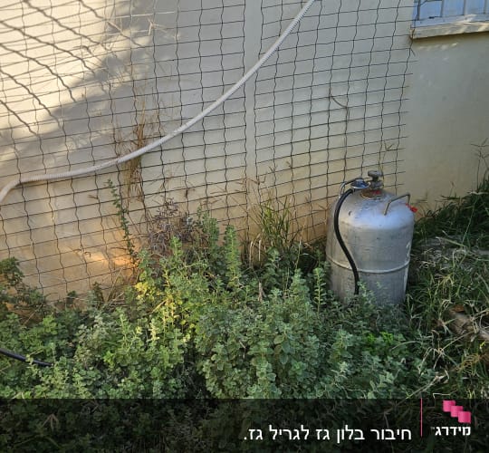 בלון גז ליד קיר עם צמחייה מסביב